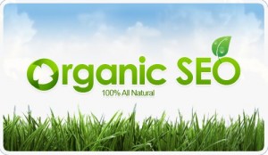 Являясь истинным источником высокой отдачи от рекламы, органические SEO-услуги способствуют более надежному присутствию в сети и привлекают на ваш сайт соответствующих потребителей
