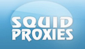 Squidproxies   Здесь вы можете запустить некоторые прокси с GSA или Scrapebox
